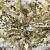 Трикотажное полотно, Сетка с пайетками, шир.130 см, #315, цв.-белый/золото - купить в Тамбове. Цена 693.39 руб.