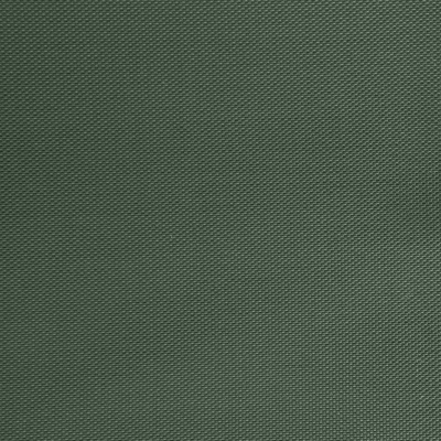 Оксфорд (Oxford) 240D 19-5917, PU/WR, 115 гр/м2, шир.150см, цвет т.зелёный - купить в Тамбове. Цена 152.54 руб.