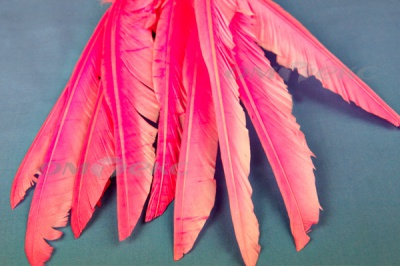 Декоративный Пучок из перьев, перо 25см/розовый - купить в Тамбове. Цена: 14.40 руб.