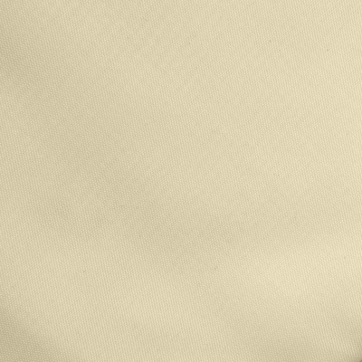 Ткань подкладочная Таффета 14-1014, антист., 53 гр/м2, шир.150см, цвет бежевый - купить в Тамбове. Цена 62.37 руб.