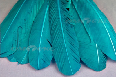 Декоративный Пучок из перьев, перо 24см/голубой - купить в Тамбове. Цена: 12.19 руб.