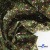 Ткань костюмная «Микровельвет велюровый принт», 220 г/м2, 97% полиэстр, 3% спандекс, ш. 150См Цв  #9 - купить в Тамбове. Цена 439.76 руб.