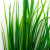 Трава искусственная -2, шт (осока 41см/8 см)				 - купить в Тамбове. Цена: 104.57 руб.