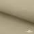 Ткань подкладочная TWILL 230T 14-1108, беж светлый 100% полиэстер,66 г/м2, шир.150 cм - купить в Тамбове. Цена 90.59 руб.