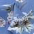 Плательная ткань "Фламенко" 12.1, 80 гр/м2, шир.150 см, принт растительный - купить в Тамбове. Цена 241.49 руб.