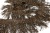 008-коричневый, Бахрома арт.001 шир.10см (упак.12+/-0,5м) - купить в Тамбове. Цена: 1 017.33 руб.