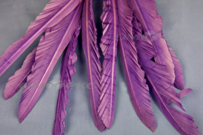 Декоративный Пучок из перьев, перо 25см/фиолетовый - купить в Тамбове. Цена: 12.19 руб.